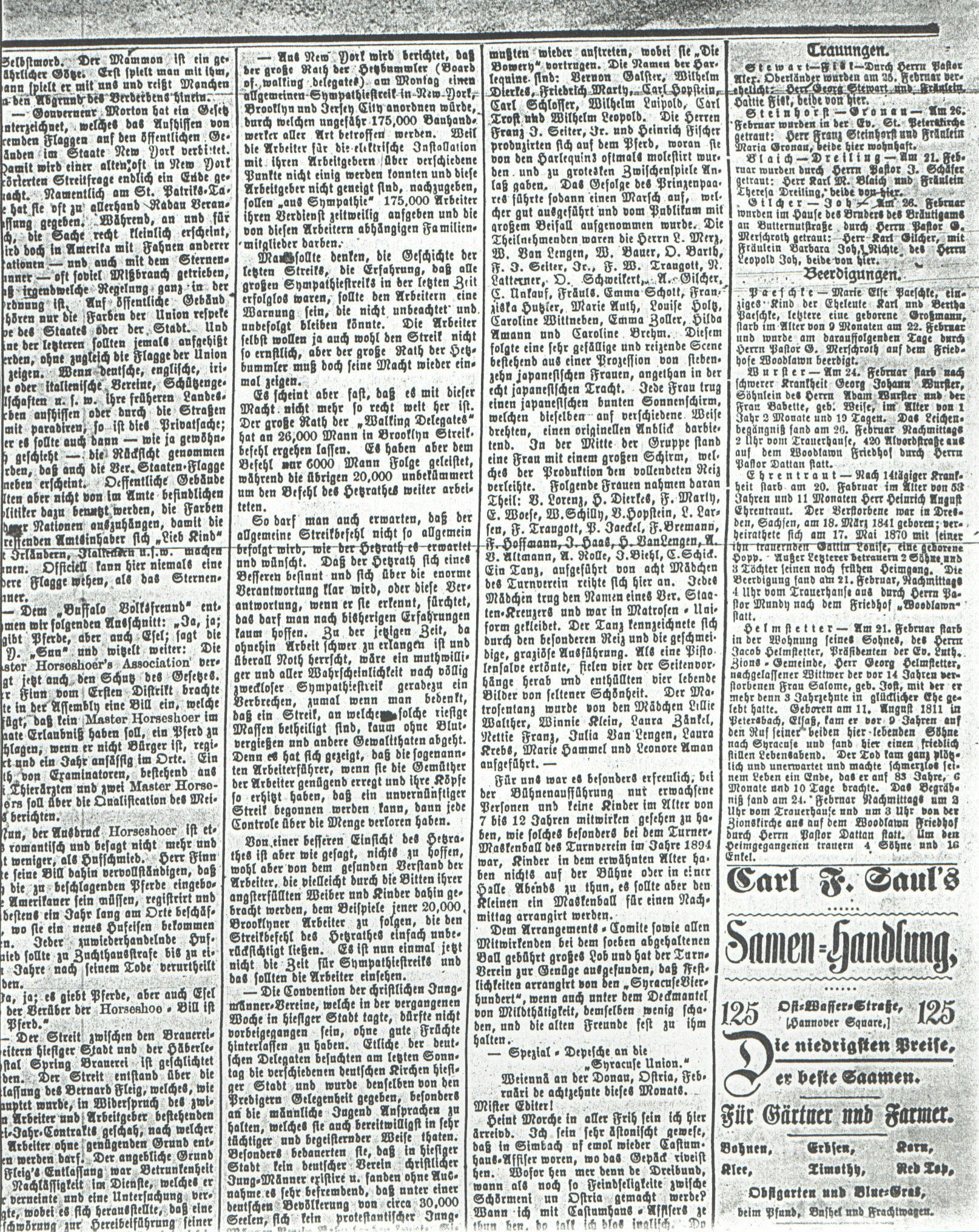 Syracuse Union, 27 February 1895, 
page 3, col. 8