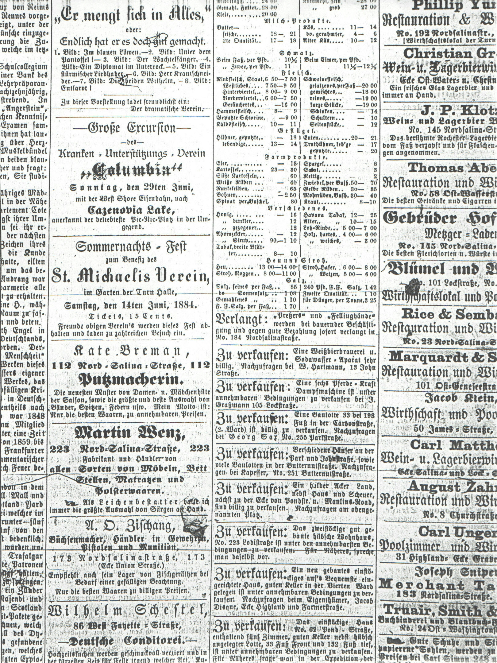 ads from the Syracuse Union, 5 
June 1884