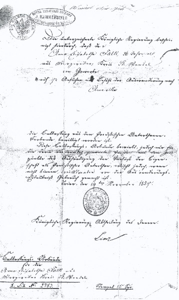 Anna Elisabetha Falk's passport, 1855 - front