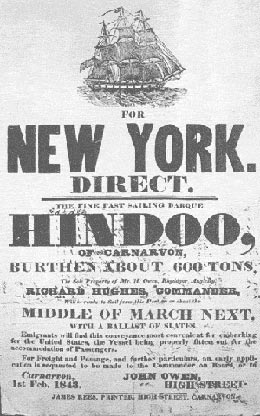 Hindoo advertisement