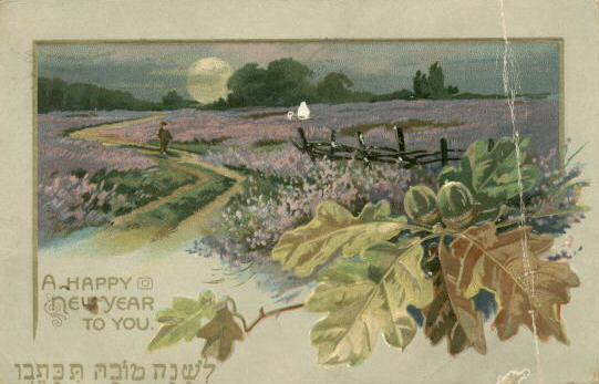 New Year's postcard 1911