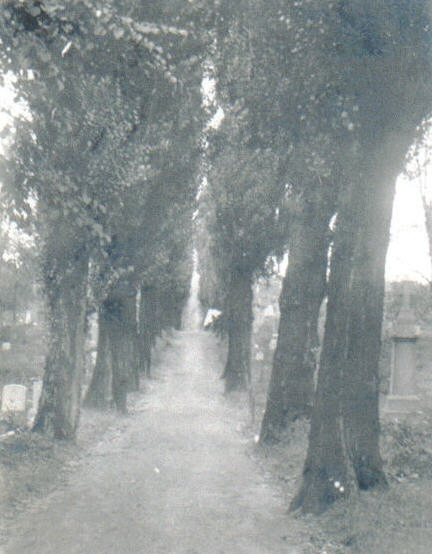 Path, St. Joseph's Cemetery, Syracuse