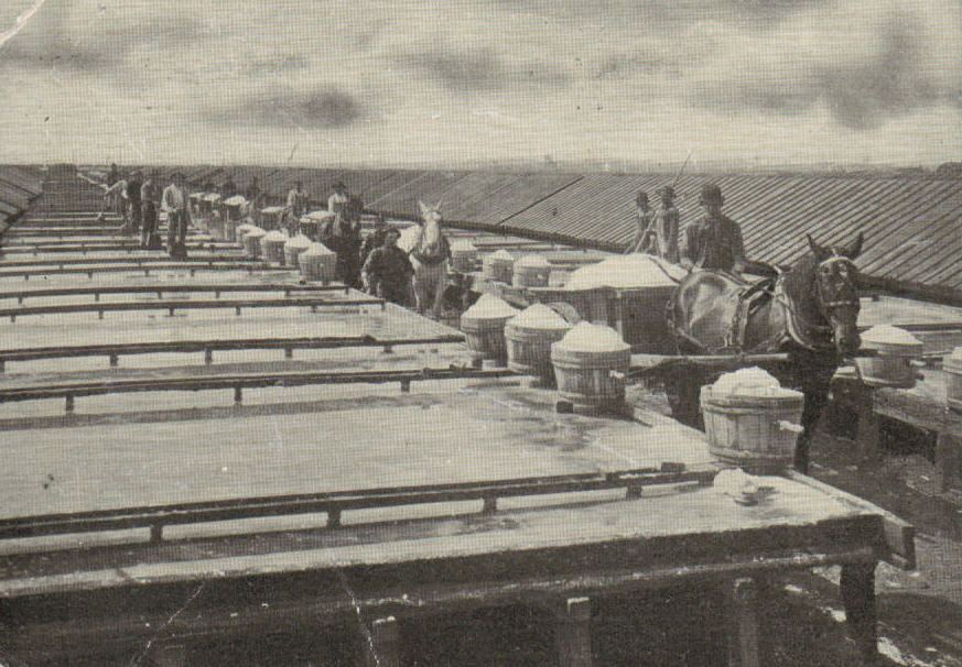 Saltworkers, Syracuse, circa 1907
